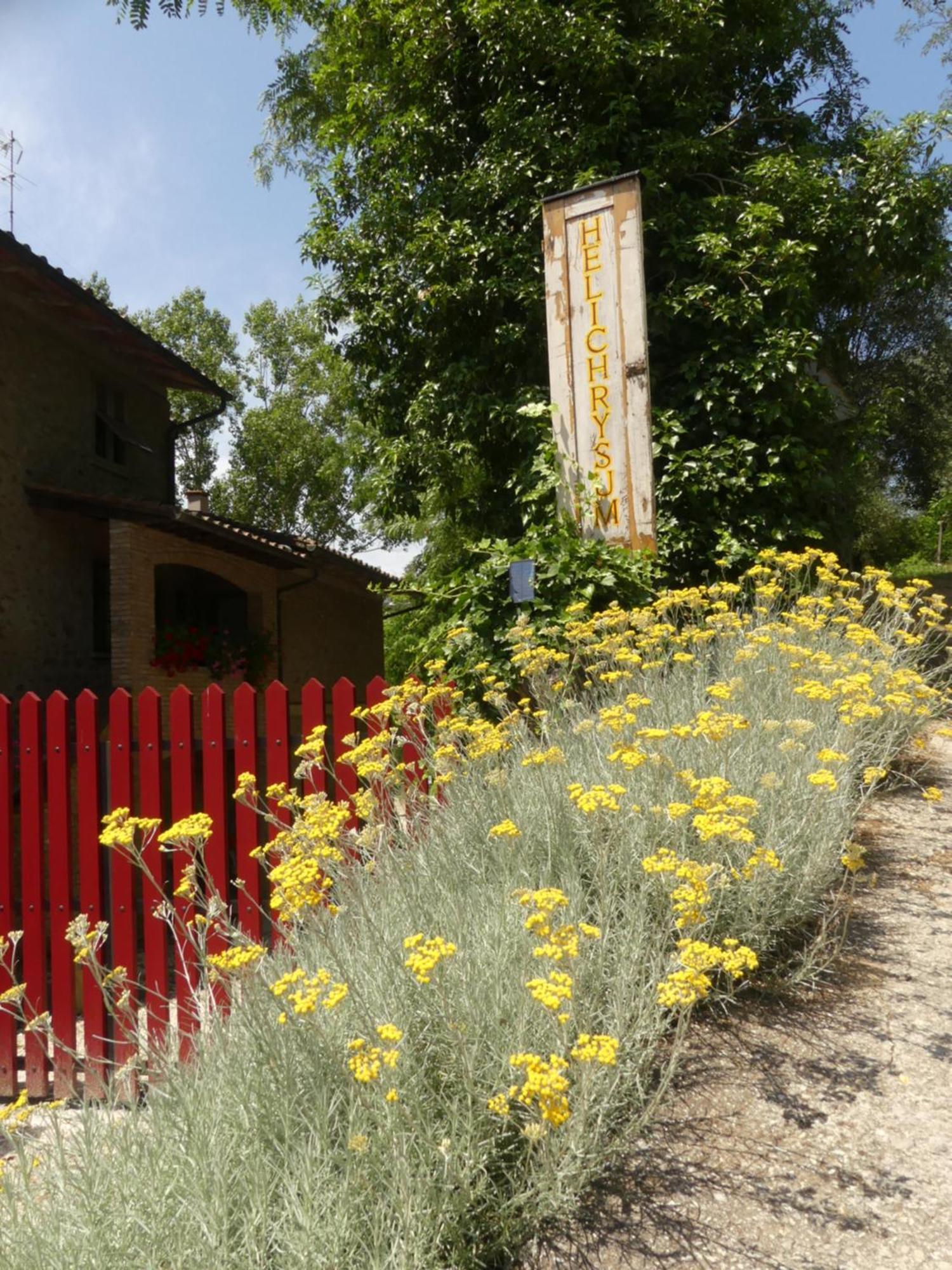 مبيت وإفطار فينشي Helichrysum المظهر الخارجي الصورة